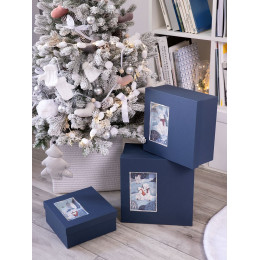 Коробка The Blue Bear, S