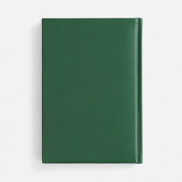 Ежедневник Baza, датированный, зеленый
