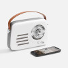 Bluetooth-колонка с радио Retronica, белая